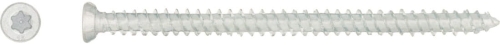 5885.jpg