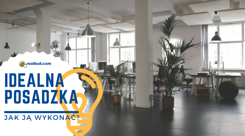 Posadzki - kompendium wiedzy